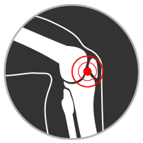 meniscus icon